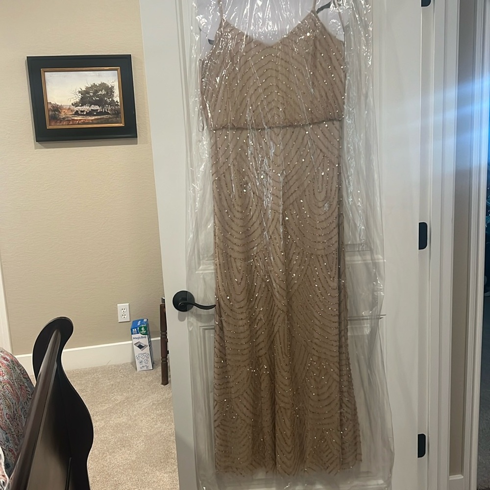 Adrianna Pappell champagne/gold beaded blouson long formal dress